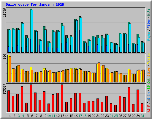 Daily usage for January 2026