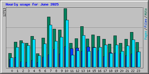 Hourly usage for June 2025