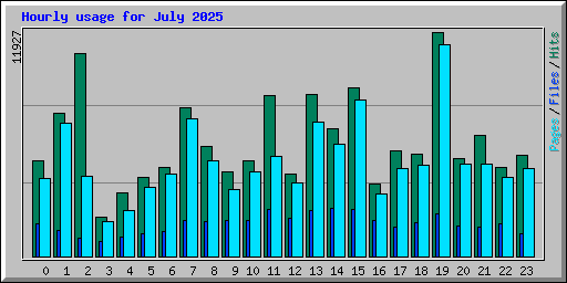 Hourly usage for July 2025