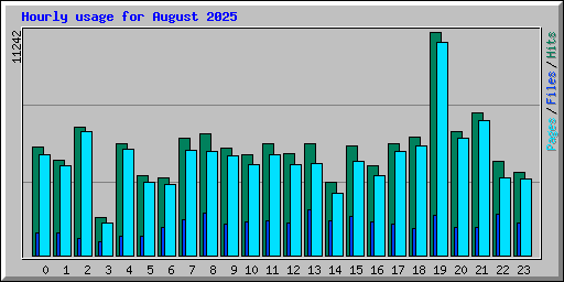 Hourly usage for August 2025