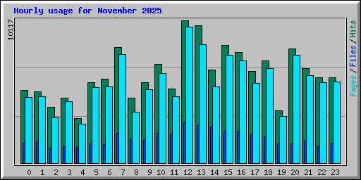 Hourly usage for November 2025