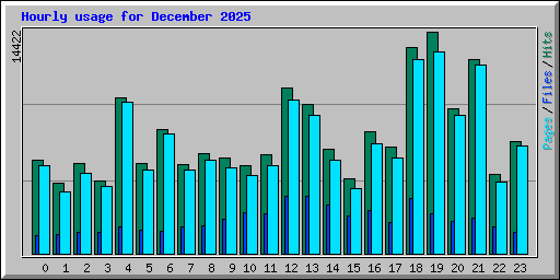 Hourly usage for December 2025