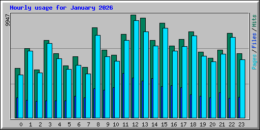 Hourly usage for January 2026