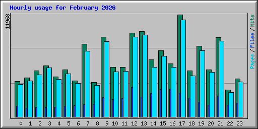 Hourly usage for February 2026