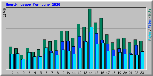 Hourly usage for June 2026