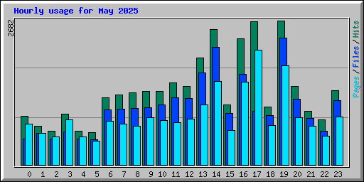 Hourly usage for May 2025