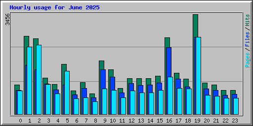 Hourly usage for June 2025