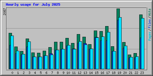 Hourly usage for July 2025