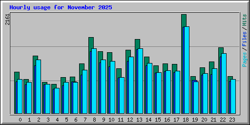 Hourly usage for November 2025