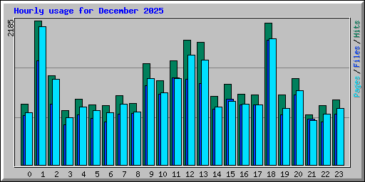 Hourly usage for December 2025