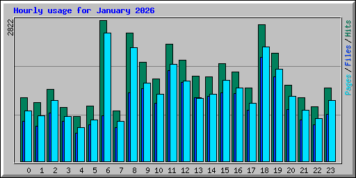 Hourly usage for January 2026