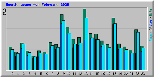 Hourly usage for February 2026