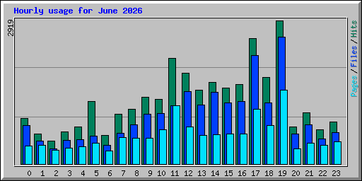 Hourly usage for June 2026