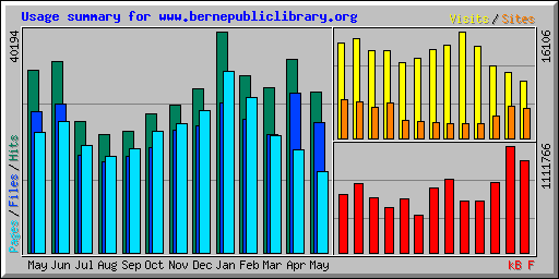 Usage summary for www.bernepubliclibrary.org