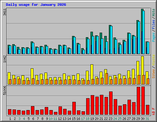 Daily usage for January 2026