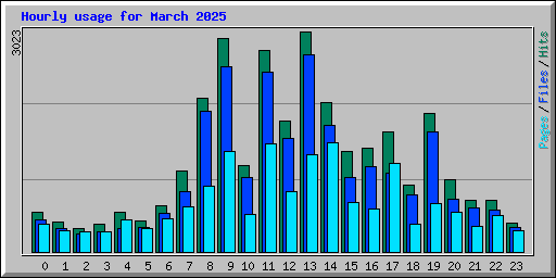 Hourly usage for March 2025