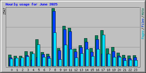 Hourly usage for June 2025