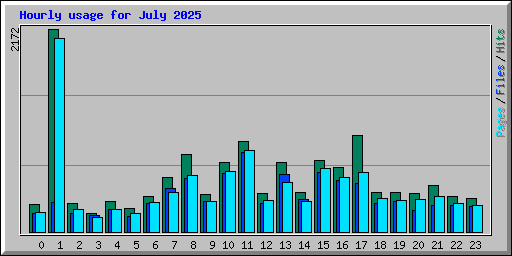 Hourly usage for July 2025