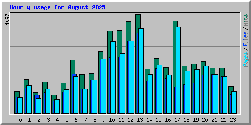 Hourly usage for August 2025