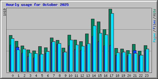 Hourly usage for October 2025