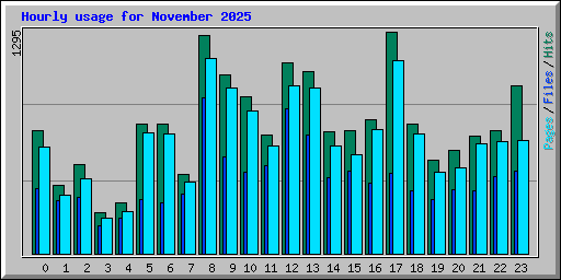 Hourly usage for November 2025