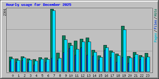 Hourly usage for December 2025