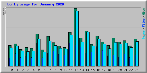 Hourly usage for January 2026