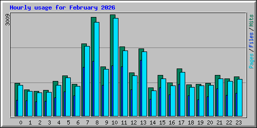 Hourly usage for February 2026
