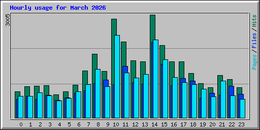 Hourly usage for March 2026