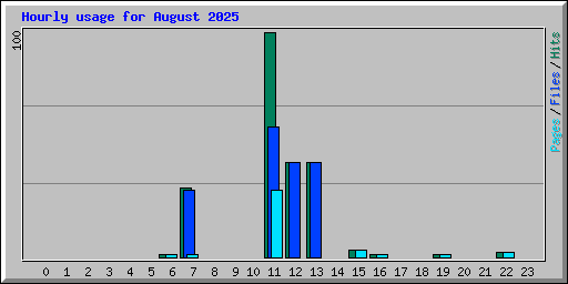 Hourly usage for August 2025