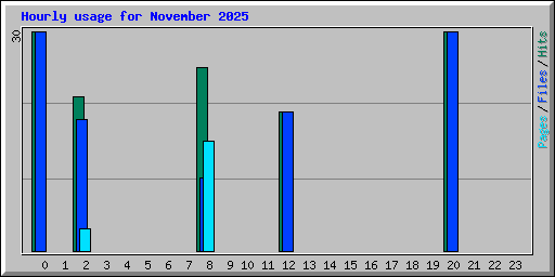 Hourly usage for November 2025