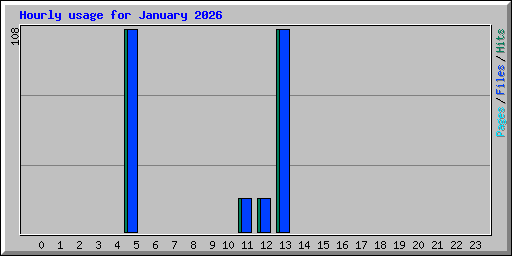 Hourly usage for January 2026