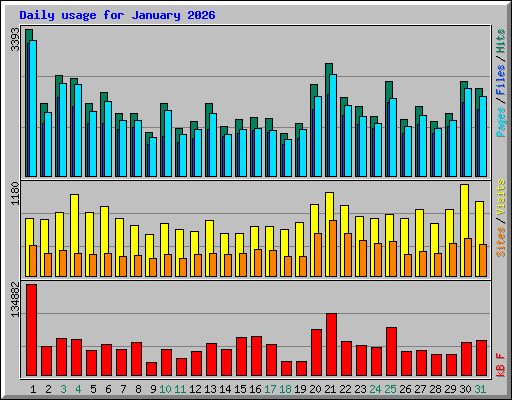 Daily usage for January 2026