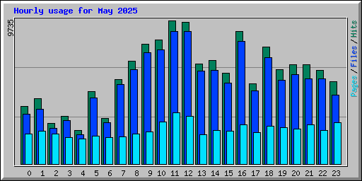 Hourly usage for May 2025