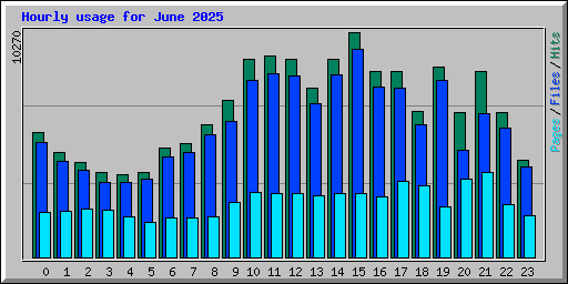 Hourly usage for June 2025