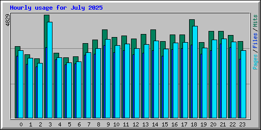 Hourly usage for July 2025