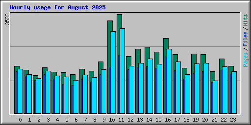 Hourly usage for August 2025