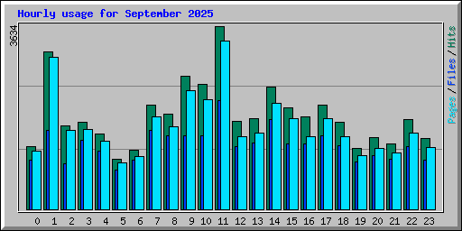 Hourly usage for September 2025