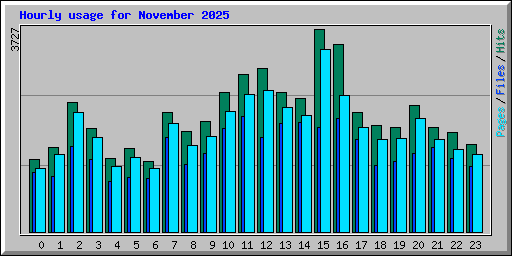 Hourly usage for November 2025