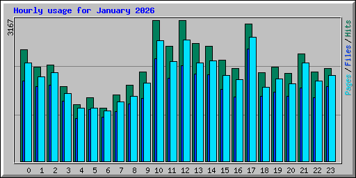 Hourly usage for January 2026