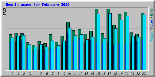 Hourly usage for February 2026