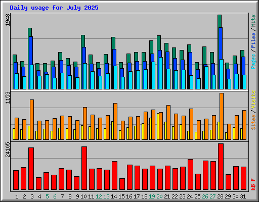 Daily usage for July 2025