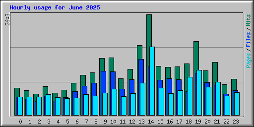 Hourly usage for June 2025