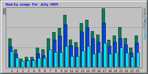 Hourly usage for July 2025