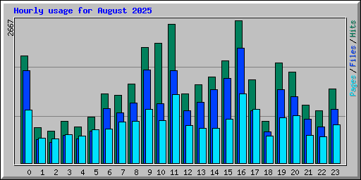 Hourly usage for August 2025