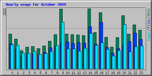 Hourly usage for October 2025