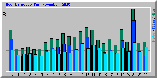 Hourly usage for November 2025