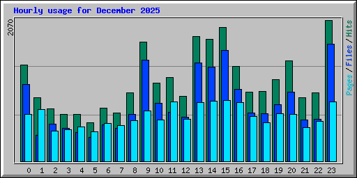 Hourly usage for December 2025
