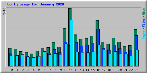 Hourly usage for January 2026