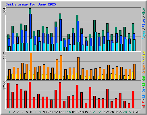 Daily usage for June 2025